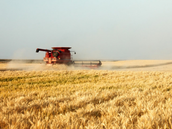 Cooperativa Agricola Cereal Sud din Olt a luat fonduri UE de 6 milioane lei să construiască depozite de cereale. În 2019 au fost înfiinţate 190 de cooperative agricole, iar în 2018 au fost înfiinţate 280 de cooperative agricole