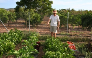 Operatorii inscrisi in agricultura ecologica vor beneficia de ajutoare specifice in perioada de conversie