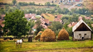 Gospodăria țărănească scutită de impozite! Legea a intrat în vigoare de astăzi!